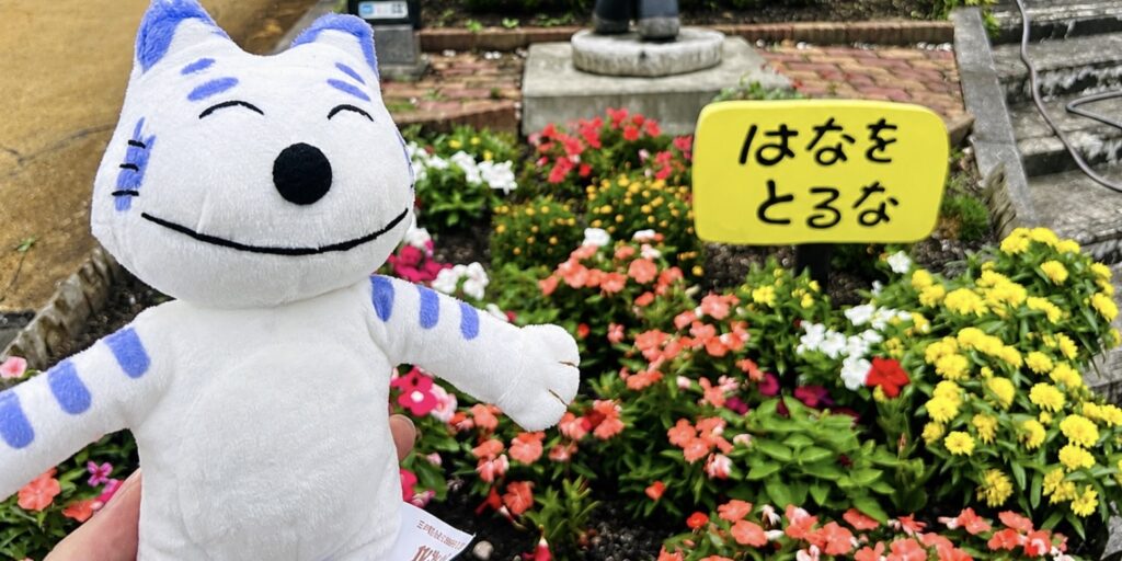 11ぴきのねこと色とりどりの花壇♪